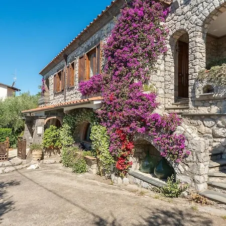 Esposito * 马萨鲁布朗斯