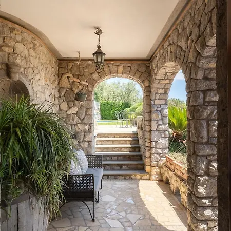 Esposito * 马萨鲁布朗斯